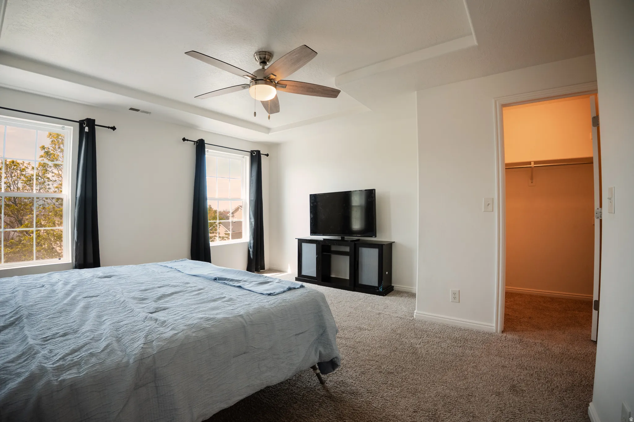 Carpeted bedroom with a tray ceiling, a walk in closet, and ceiling fan