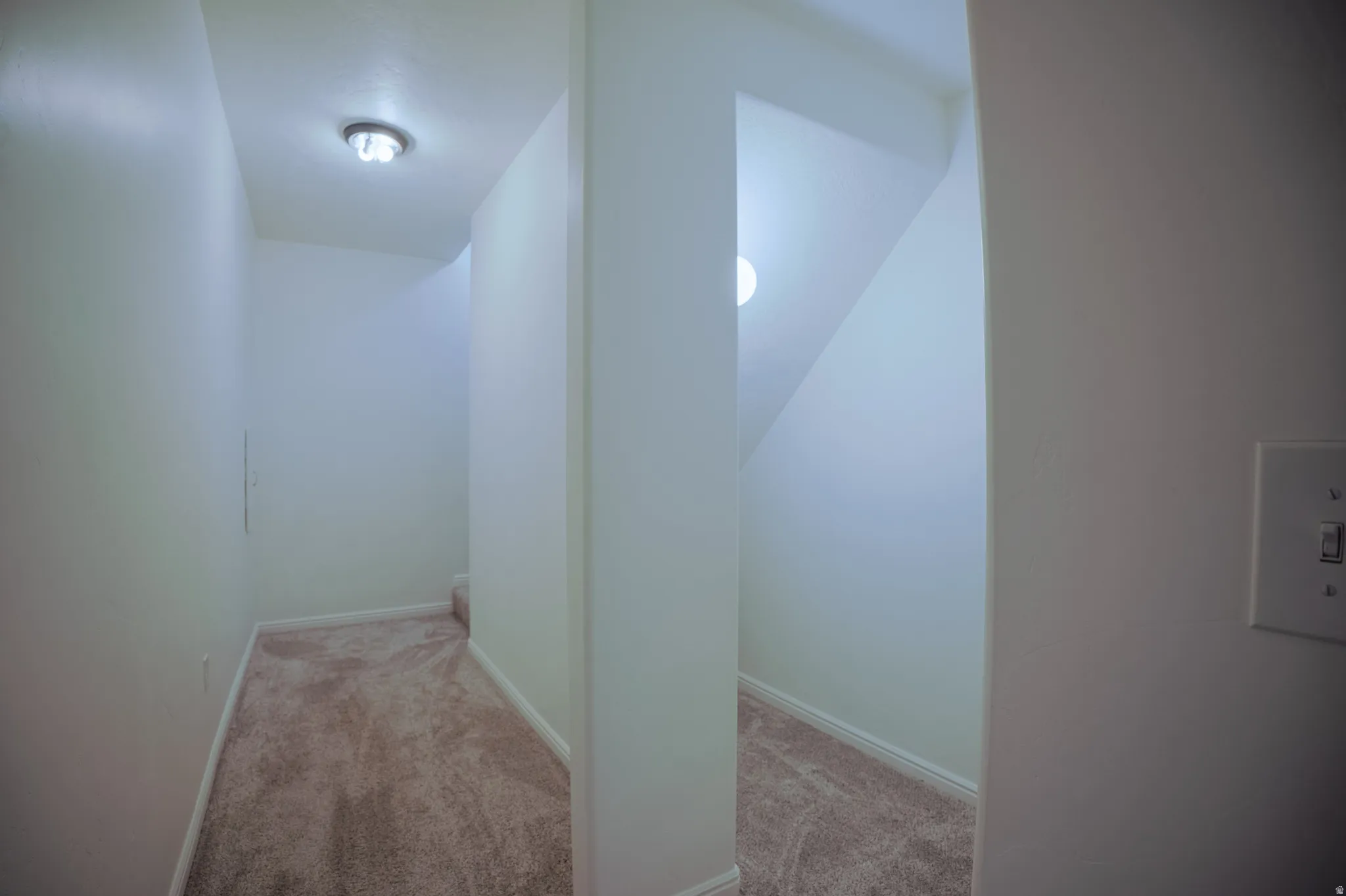Corridor with light carpet and baseboards