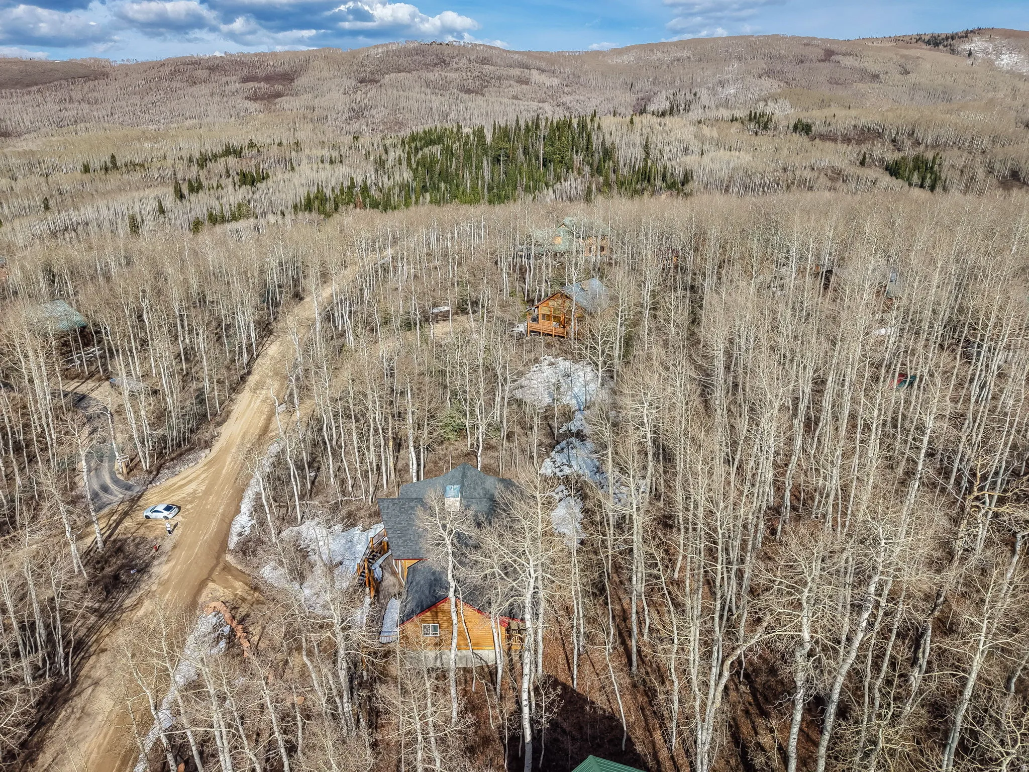 View of mountain background with a forest