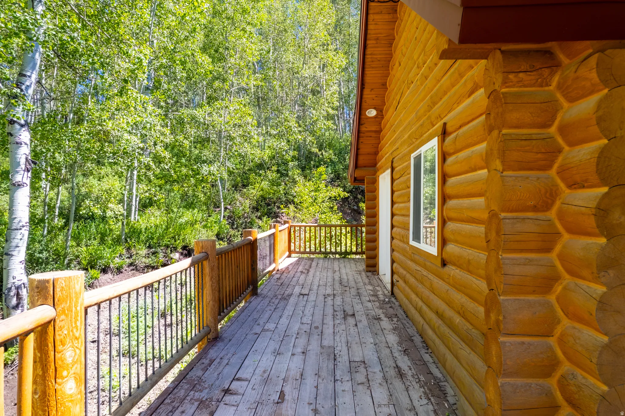 Wood-plank deck with log-style railing, featuring a log cabin exterior, white window, and door, surrounded by mature trees
