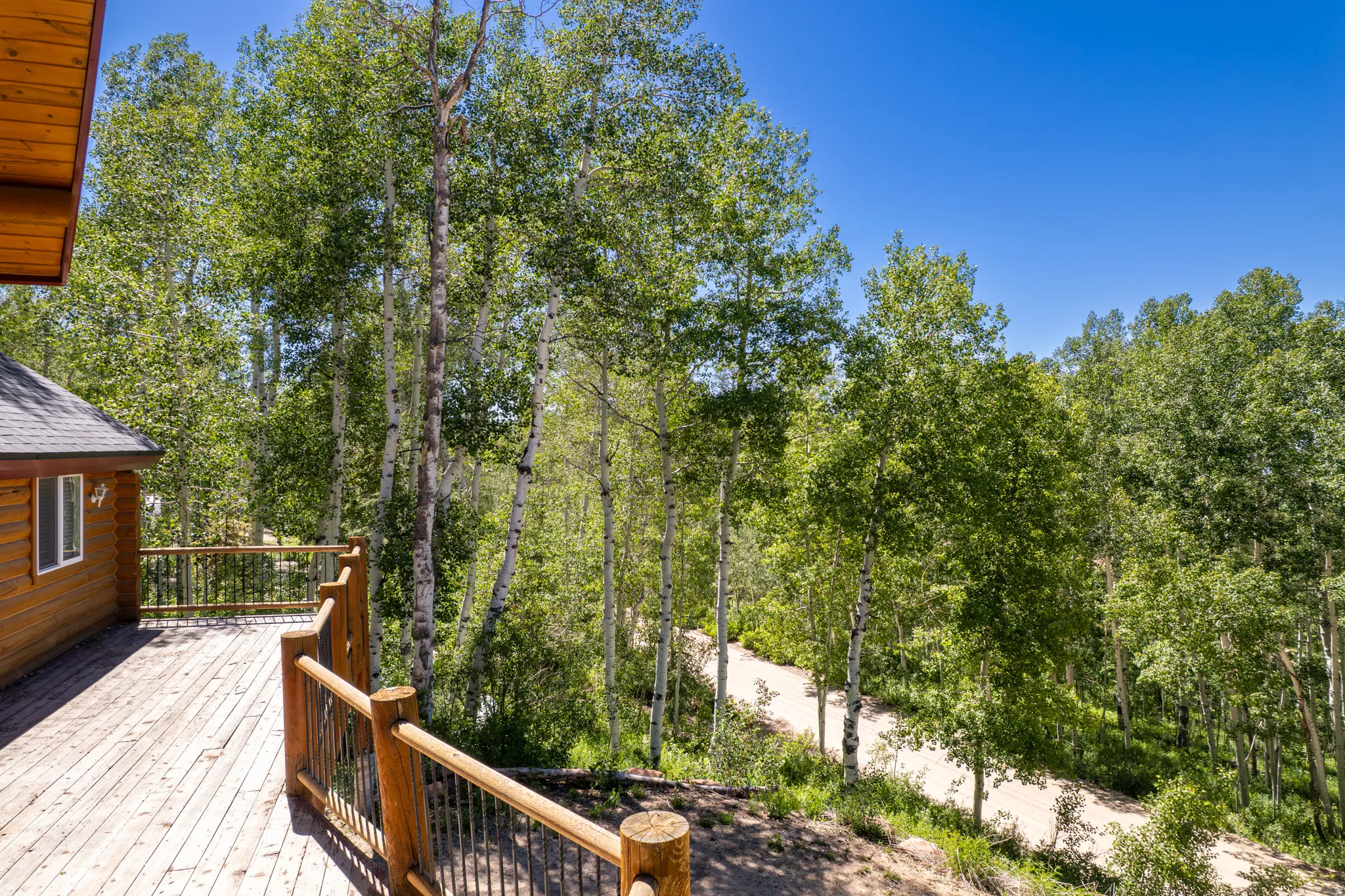 Expansive wood deck with natural wood railing, offering broad views of the surrounding mature trees and a distant unpaved road
