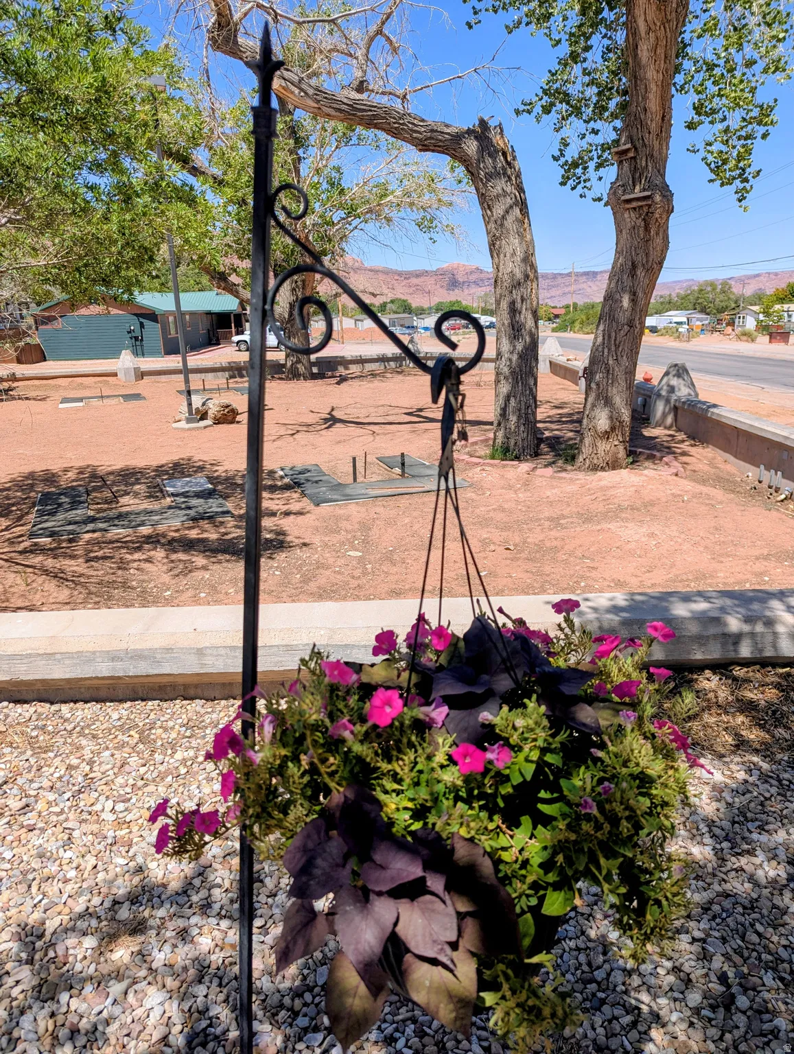 Wrought iron shepherd's hook holding a hanging basket with vibrant pink flowers and dark foliage, set on a gravel surface