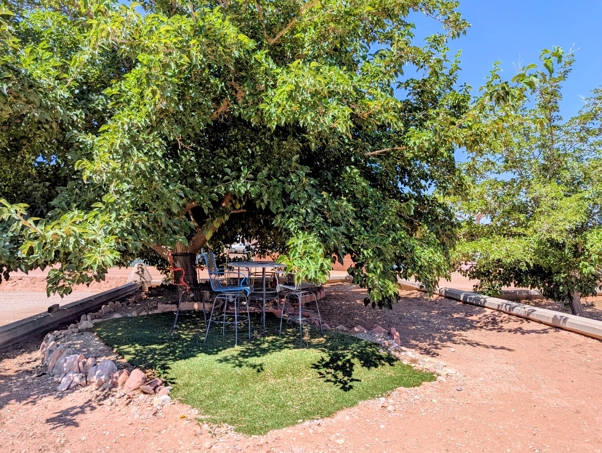 Mature shade tree providing ample coverage, surrounded by a stone-lined planter with artificial turf