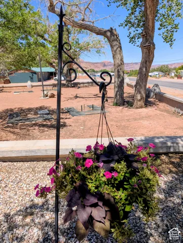 Wrought iron shepherd's hook holding a hanging basket with vibrant pink flowers and dark foliage, set on a gravel surface