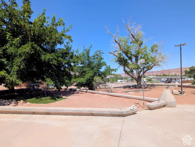 Spacious outdoor area with mature trees, a concrete walkway, and desert landscaping
