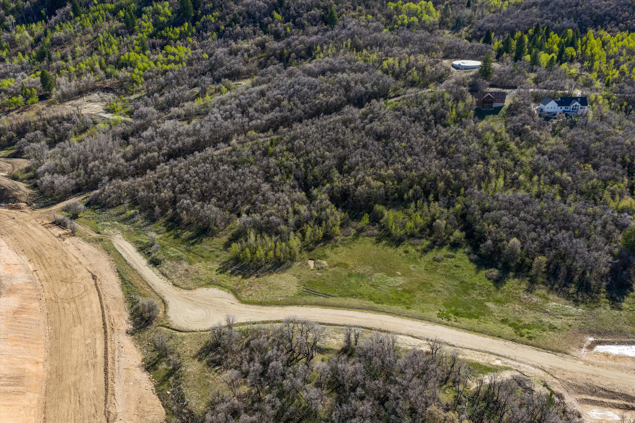 Drone / aerial view of a forest