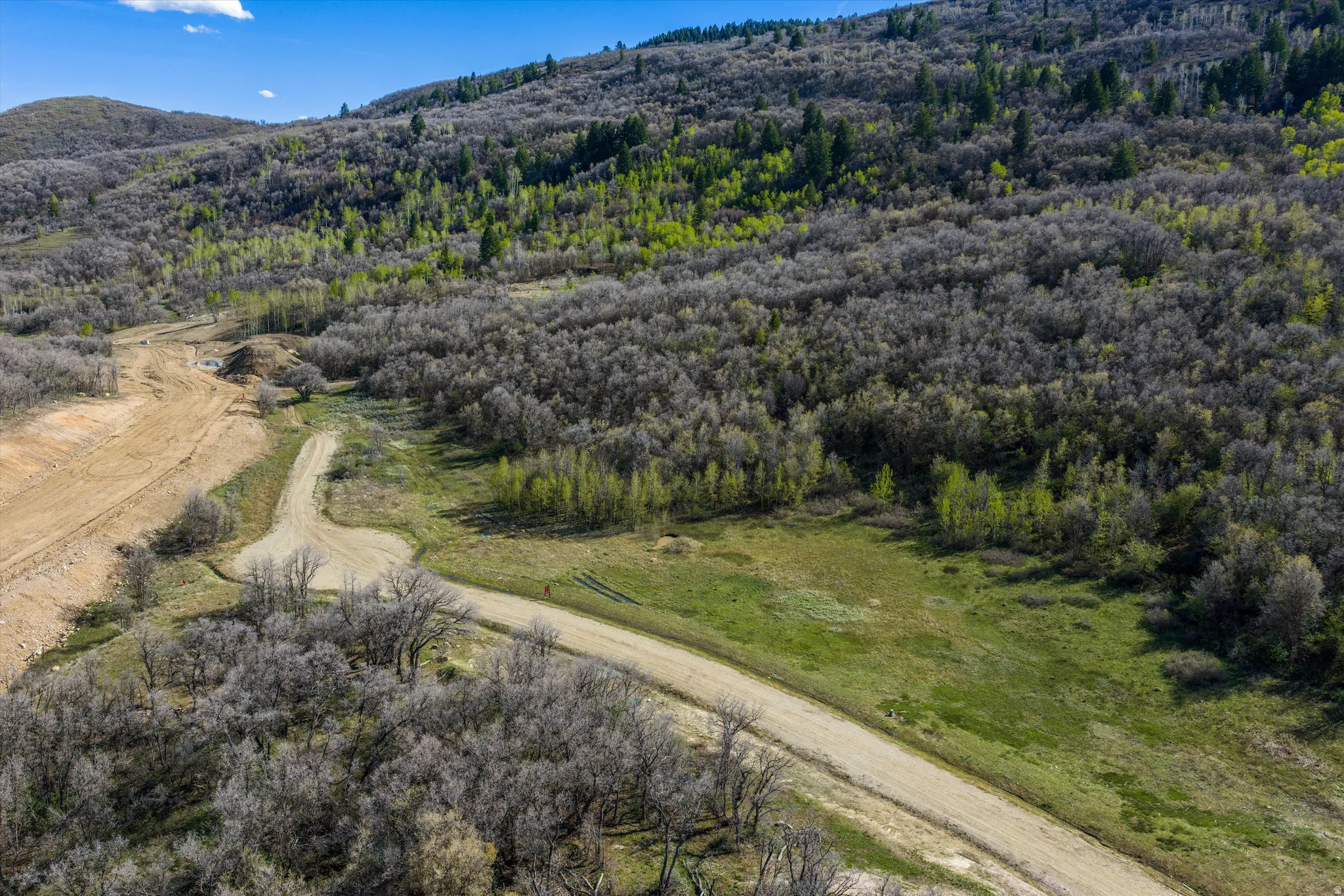 Drone / aerial view of a forest