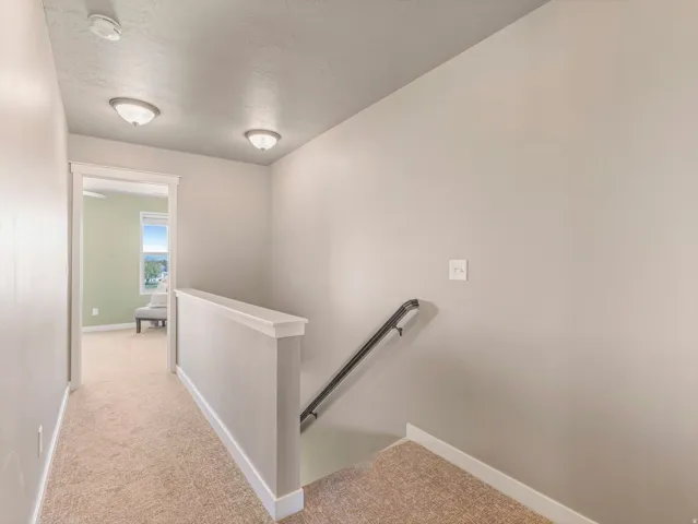 Stairs featuring carpet flooring