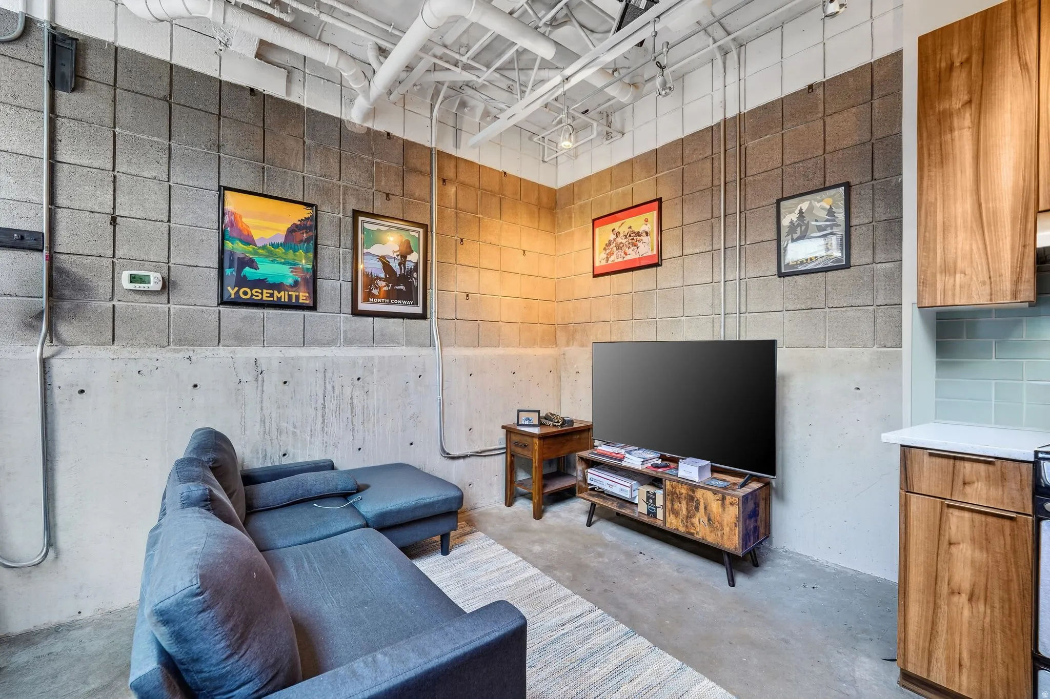 Living room featuring unfinished concrete flooring