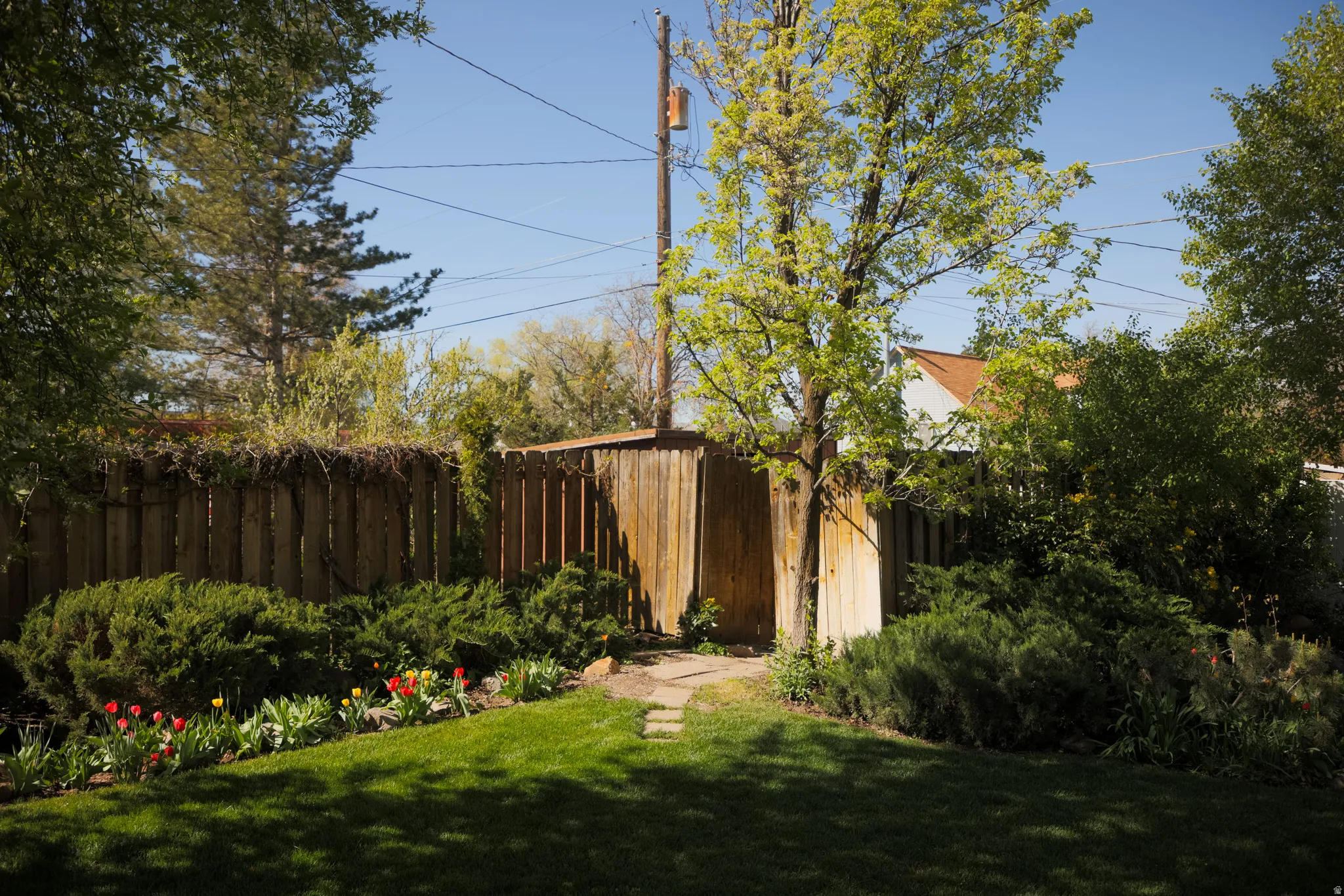 View of fenced backyard