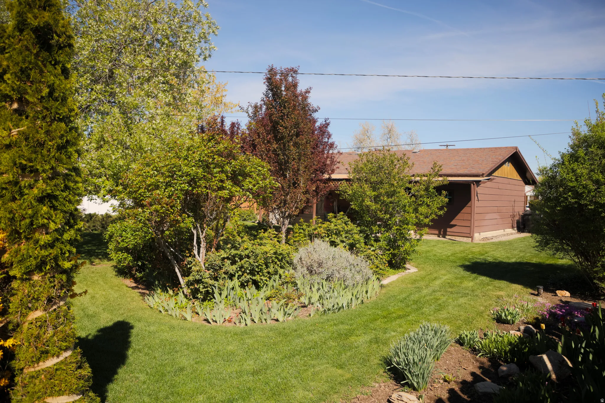 View of green lawn, Back of home