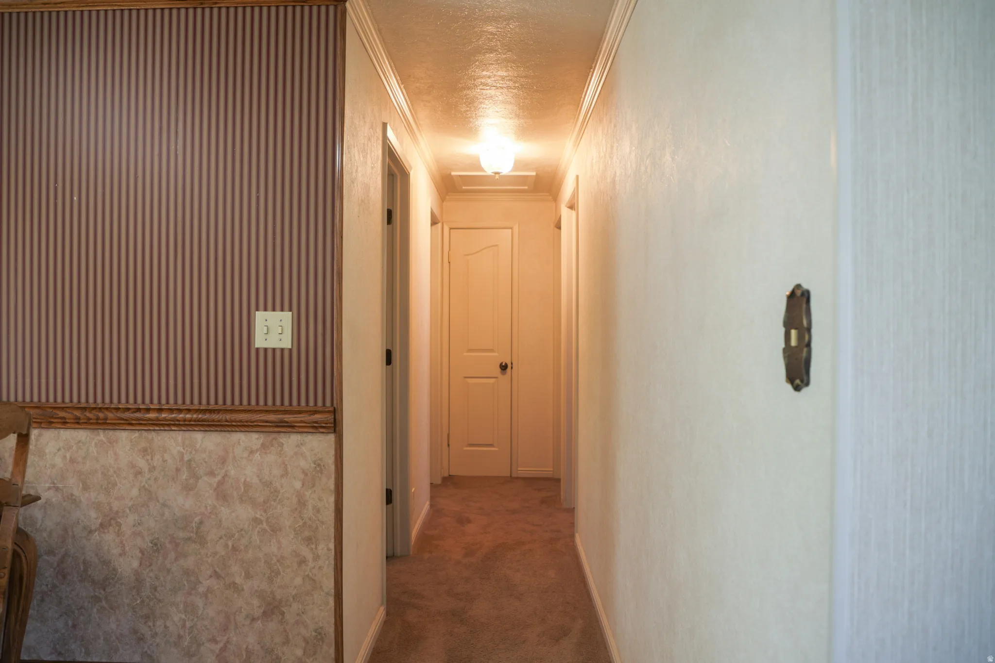 Hallway with crown molding, dark carpet, and a textured ceiling