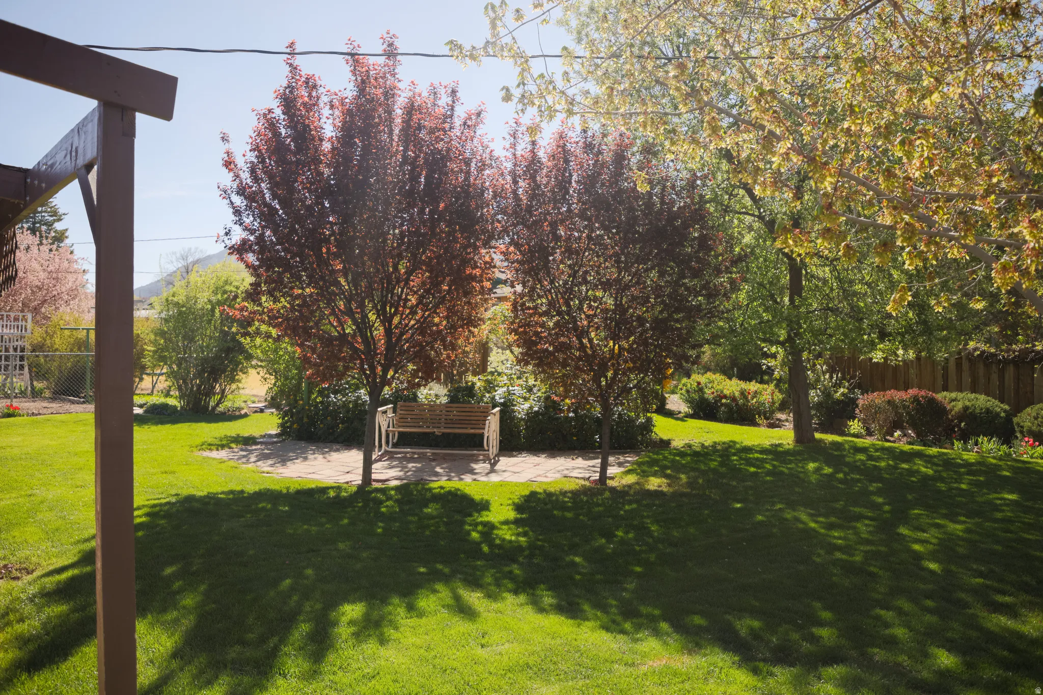 View of yard featuring a patio