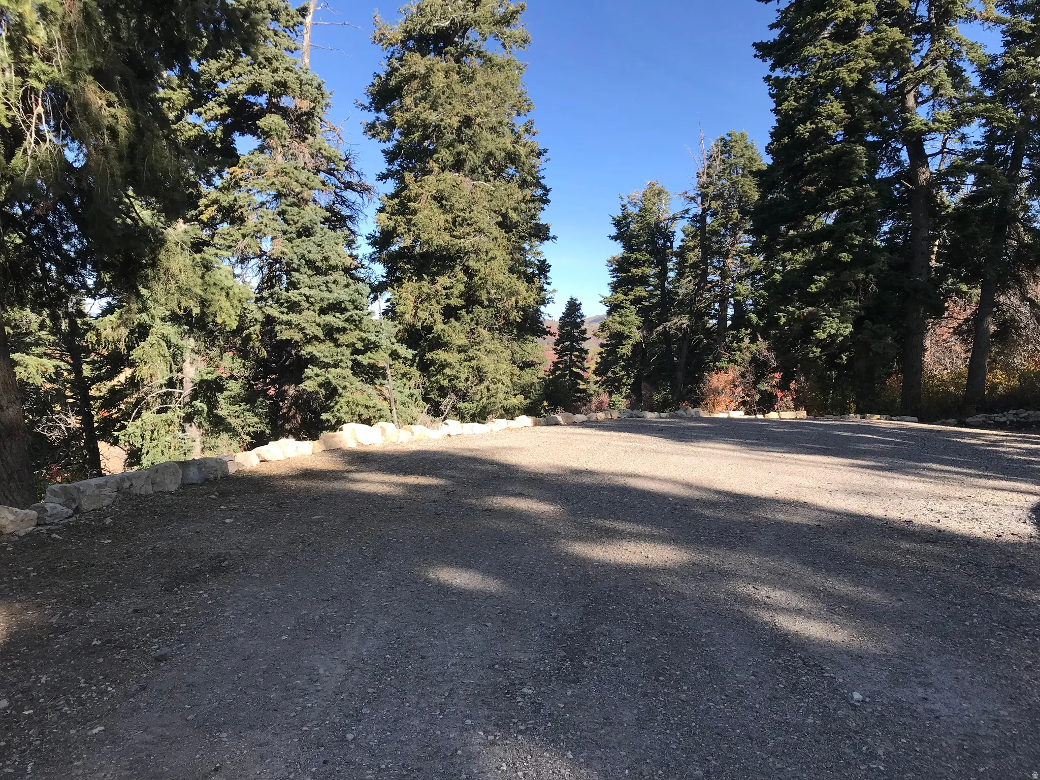 larage area for camping or future cabin site