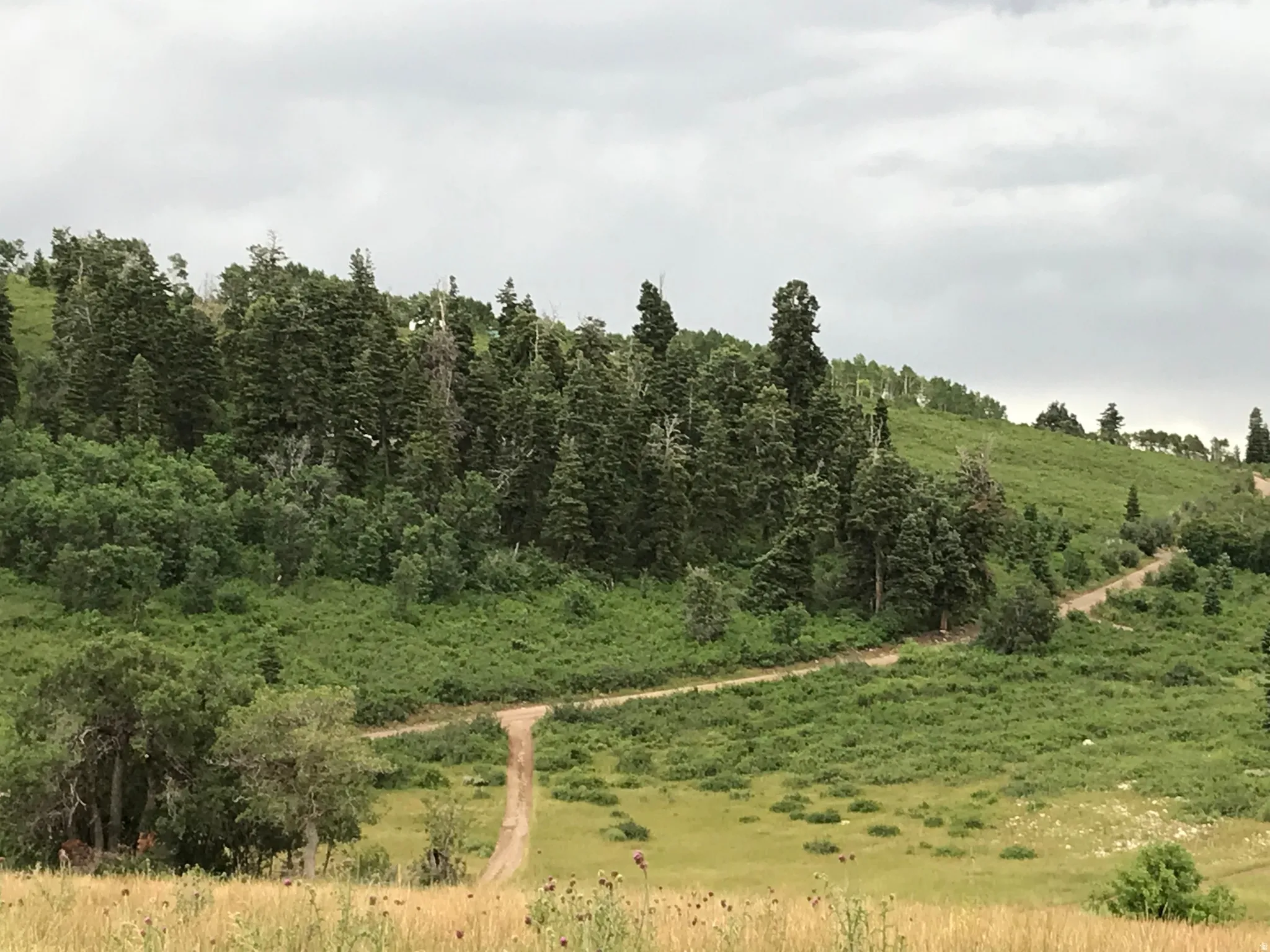 View looking west to east of the property