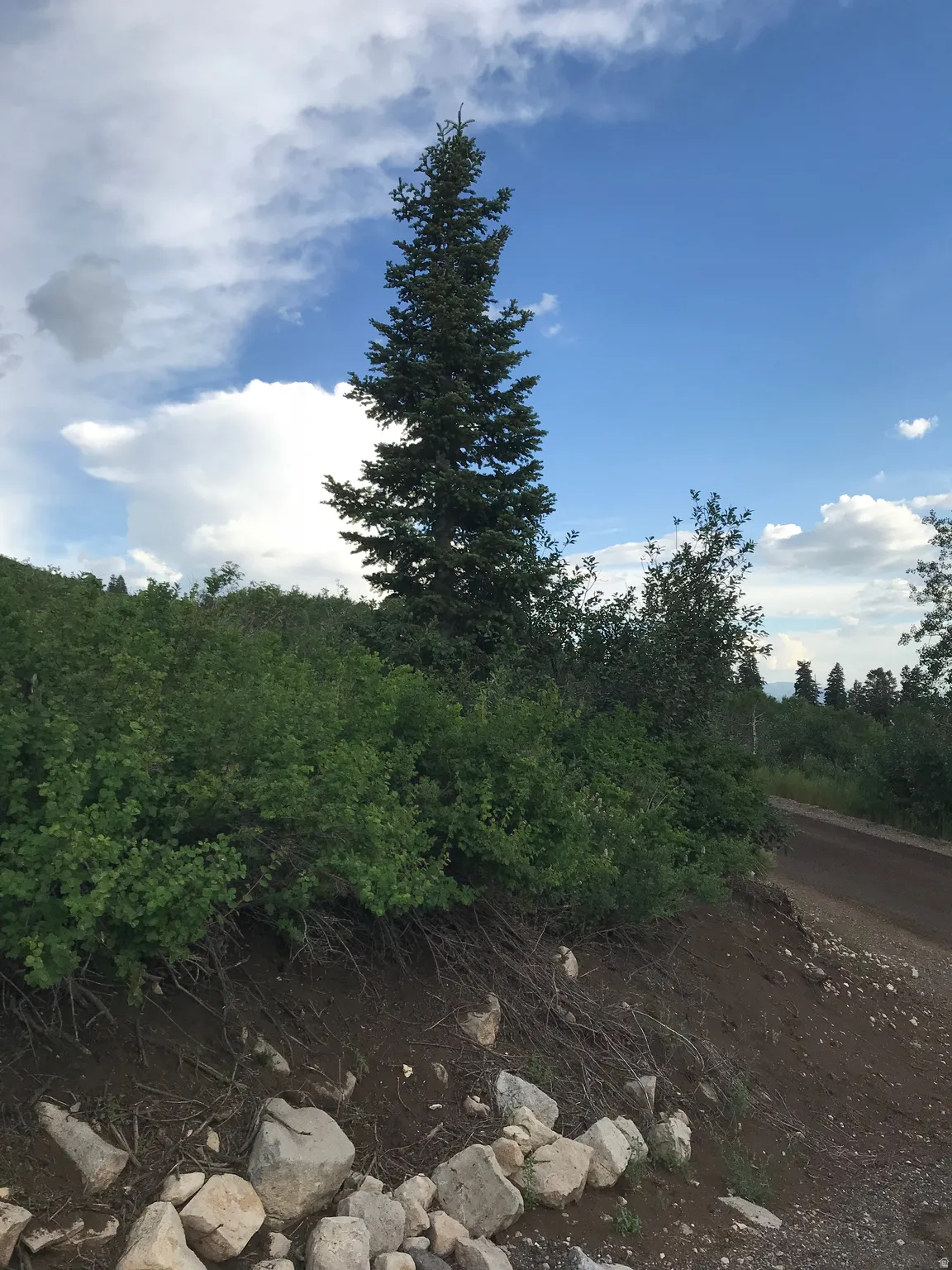 Mountainside views