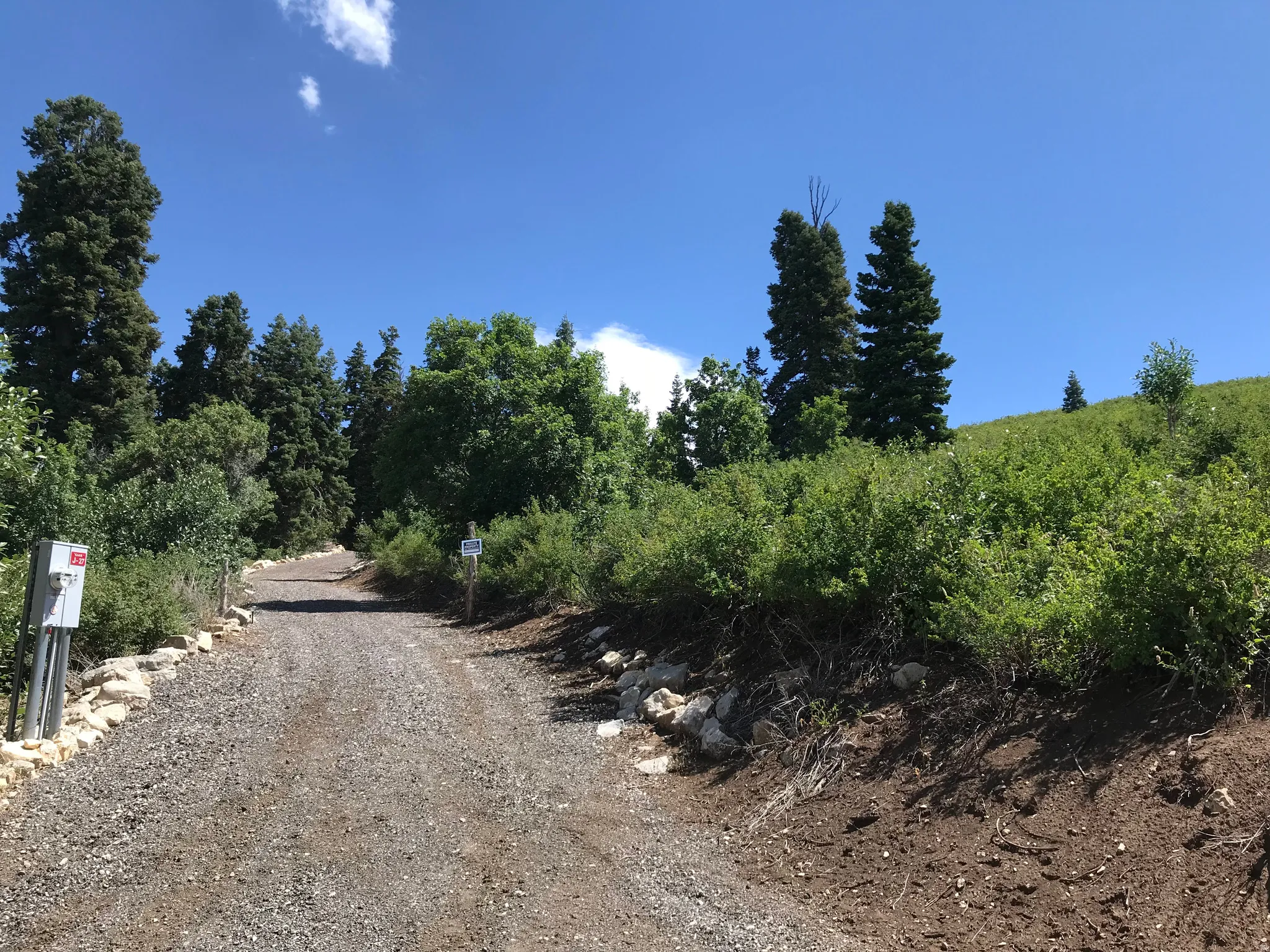 View of entrance road