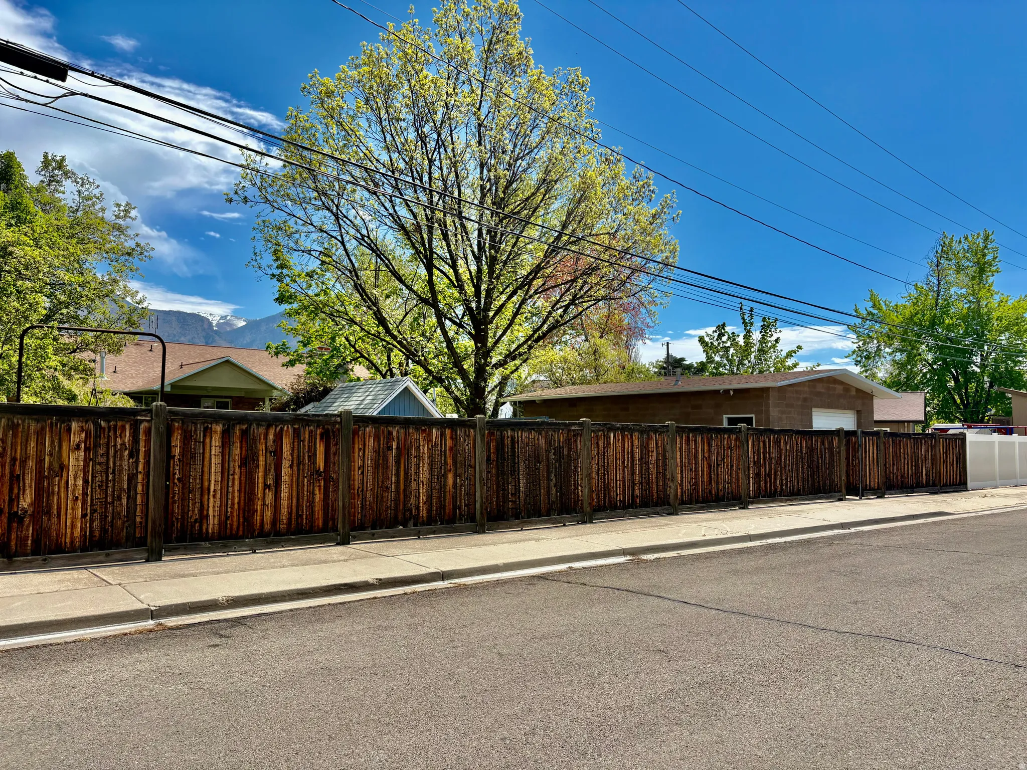 Fully Fenced with entrance to the Brick Shop Garage door entry