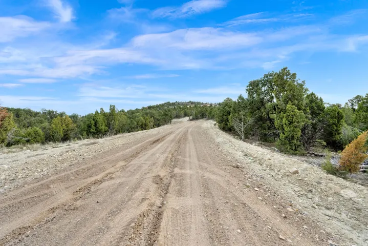 Driving Path