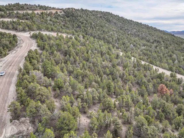 Ariel view of Land