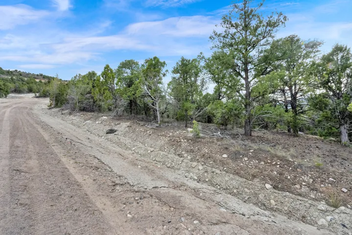 Driving Path