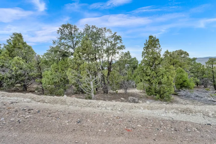 View of land