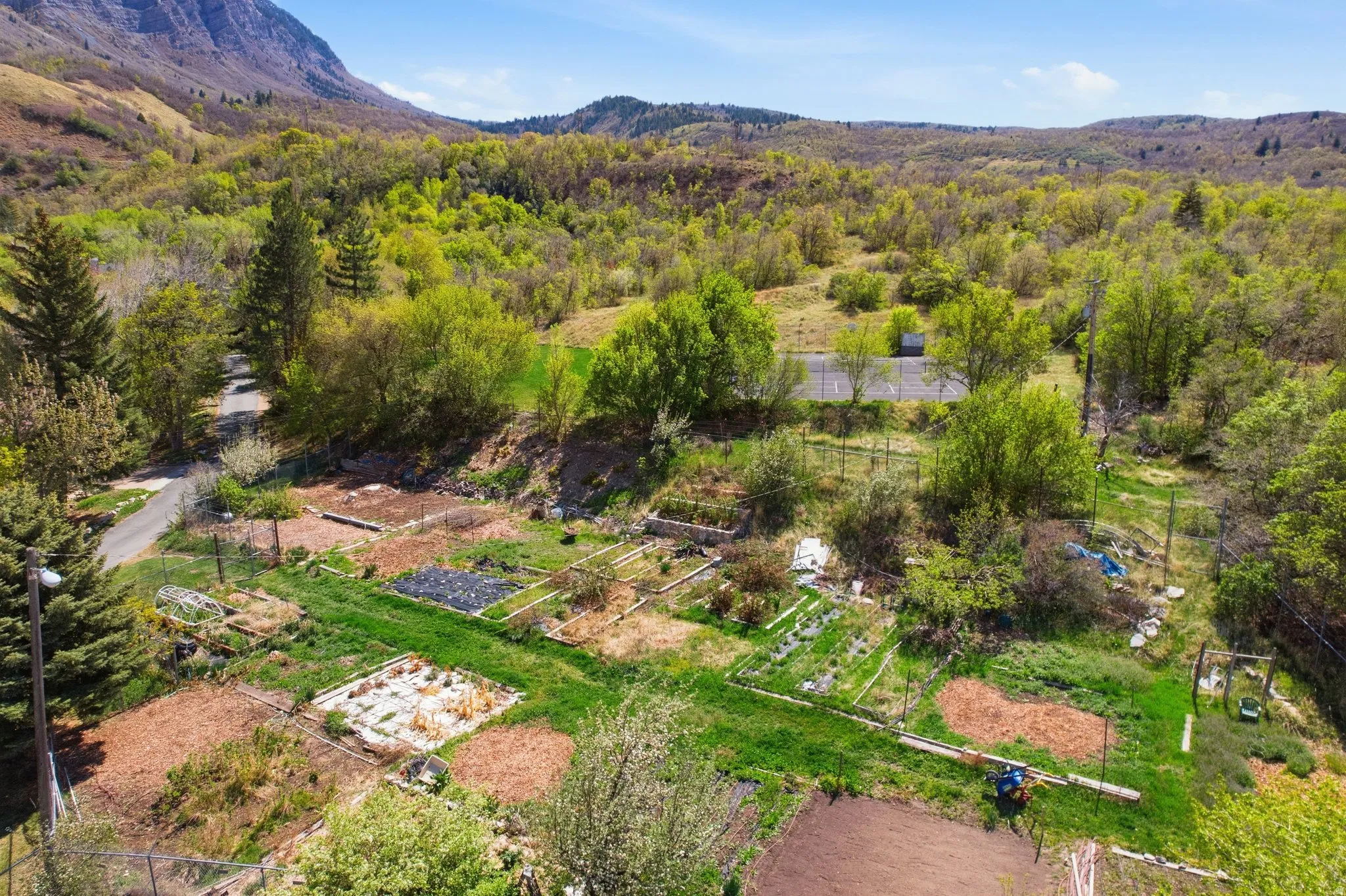 Aerial view of a mountainous background and a heavily wooded area