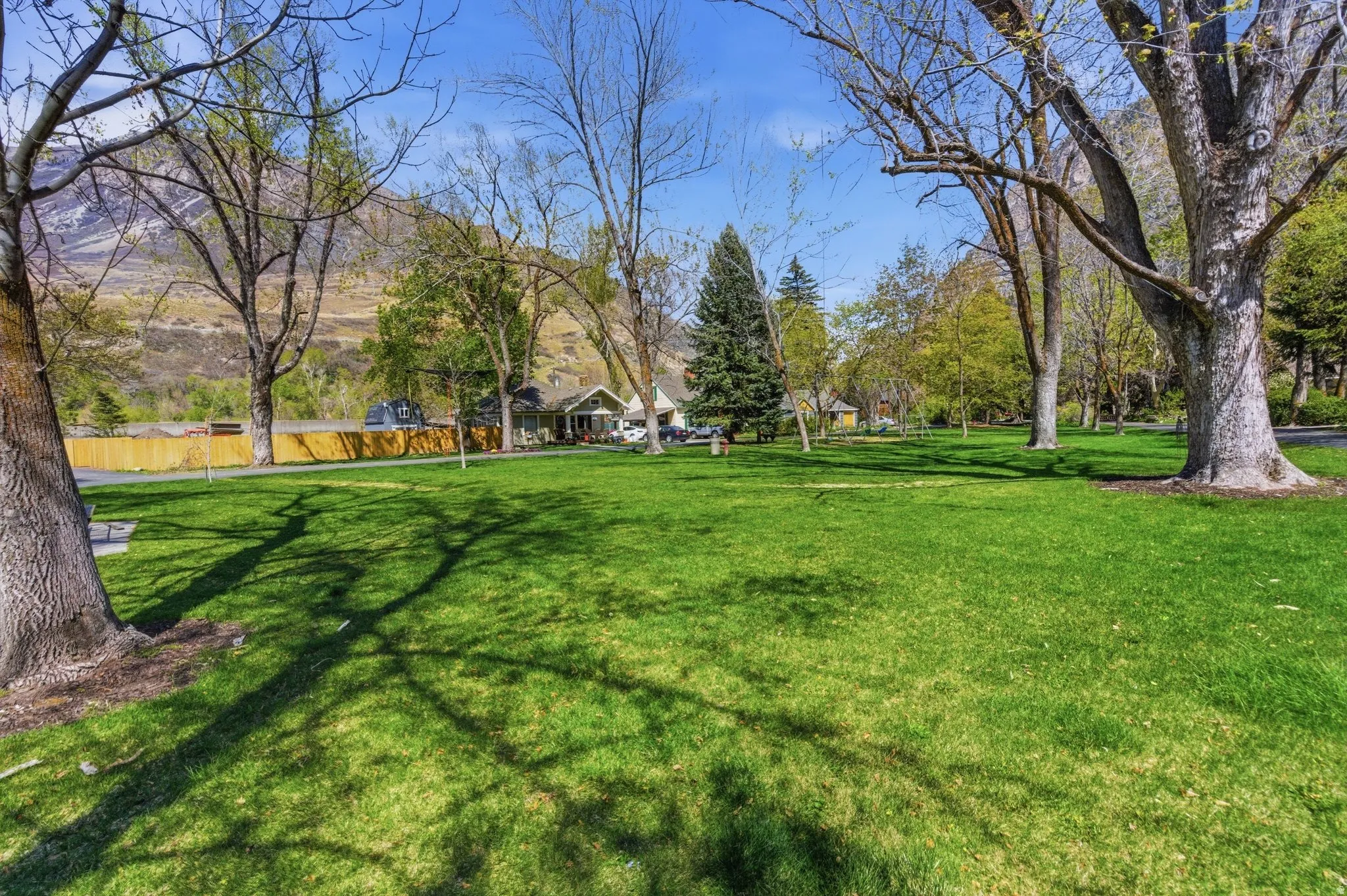 View of green lawn