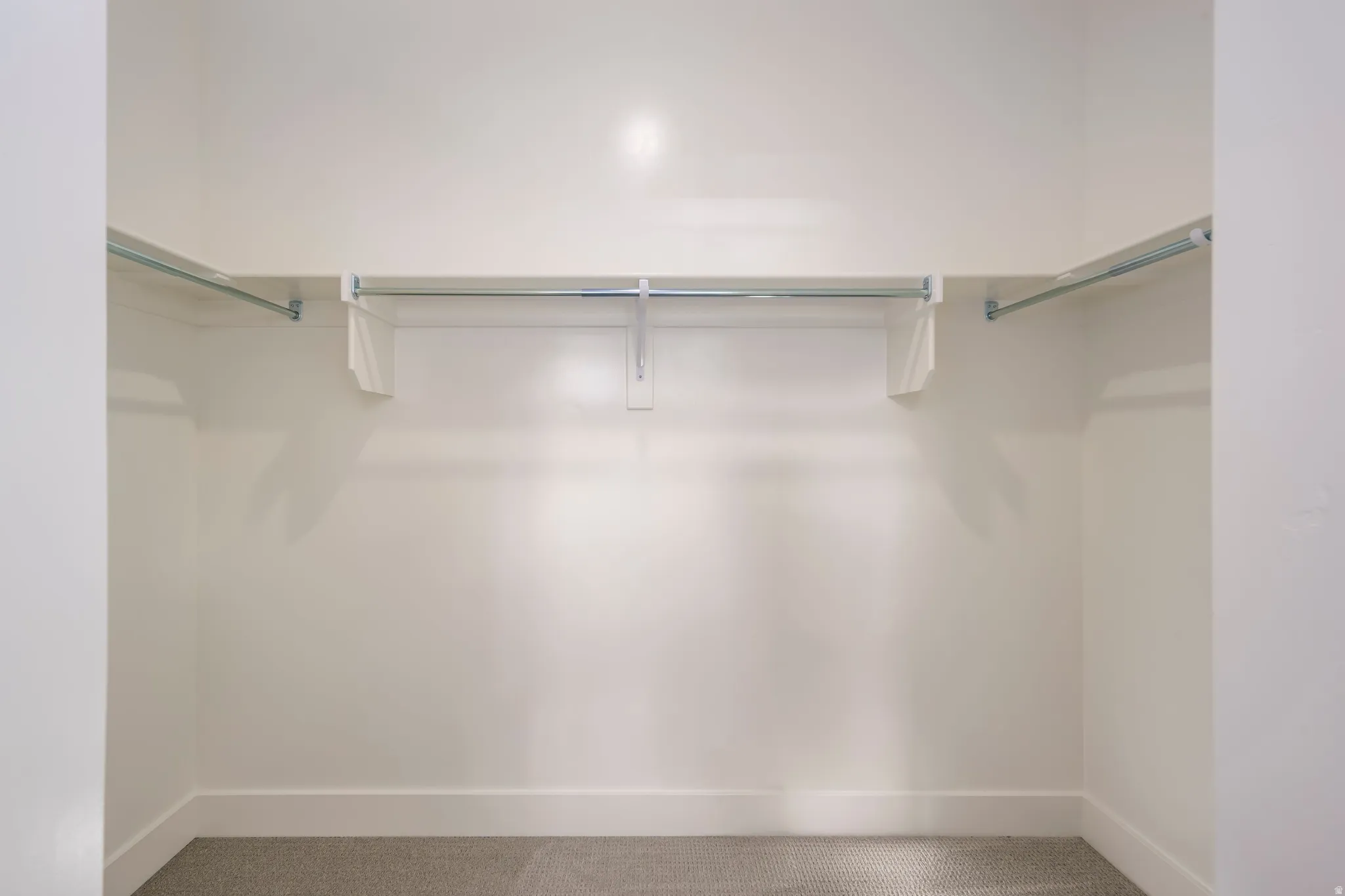 Walk in closet with carpet floors