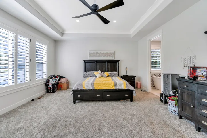 Master bedroom with tray ceiling
