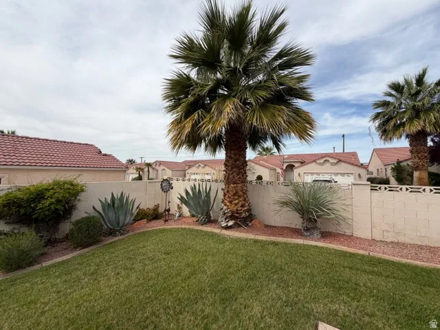 View of fenced backyard