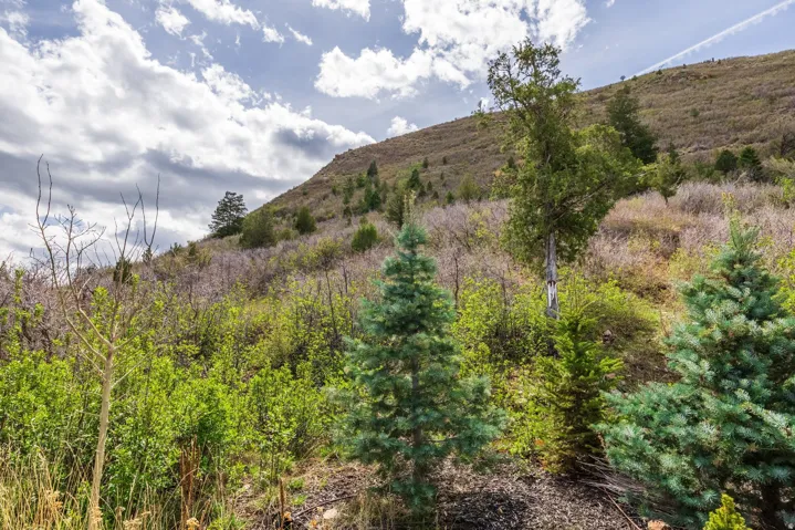 870 E 350 S, Kamas, Utah 84036