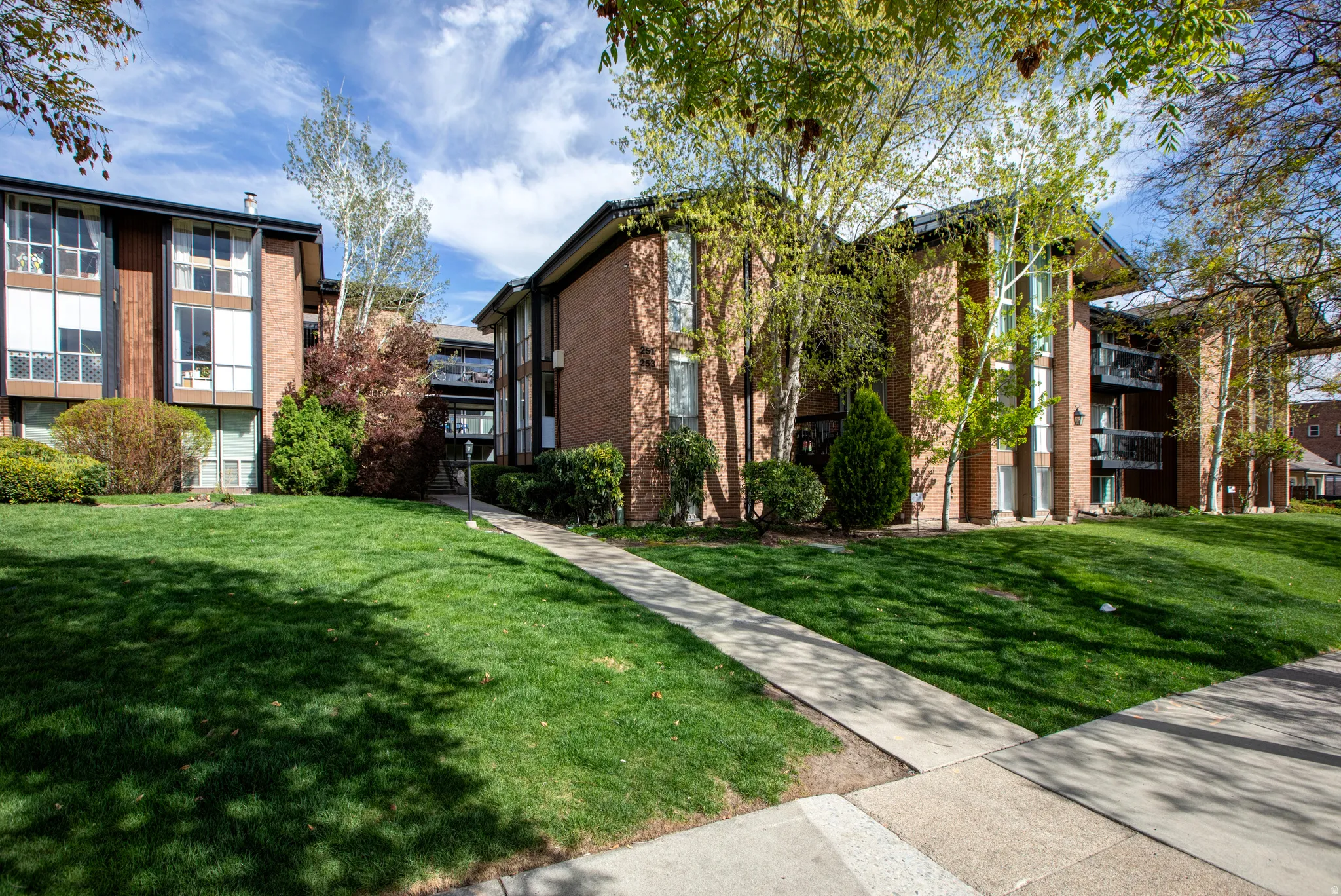 The Shaughnessy