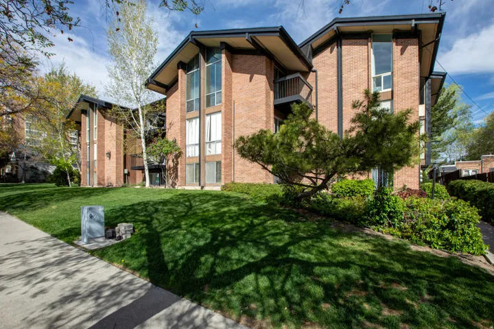 The Shaughnessy