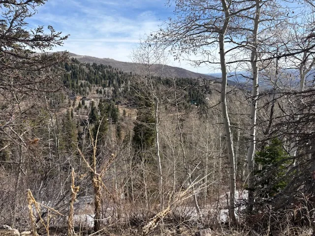 View of mountain background