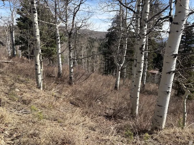 View of undeveloped land