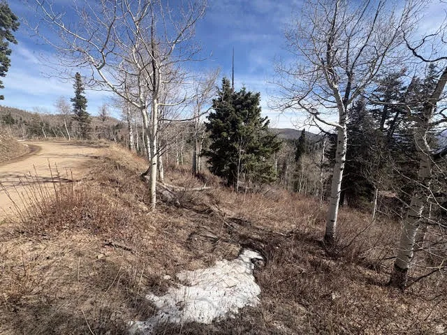 View of nature