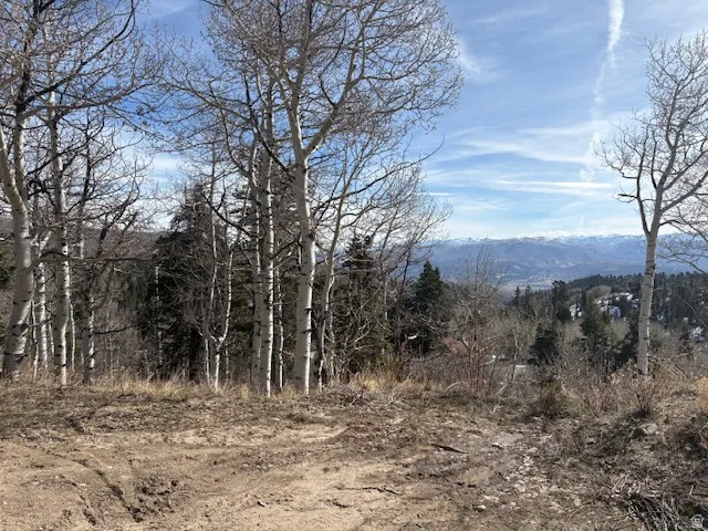 View of mountain backdrop