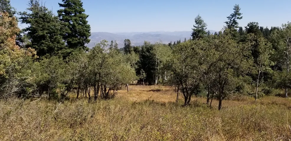 View of nature featuring a mountain backdrop and rural landscape