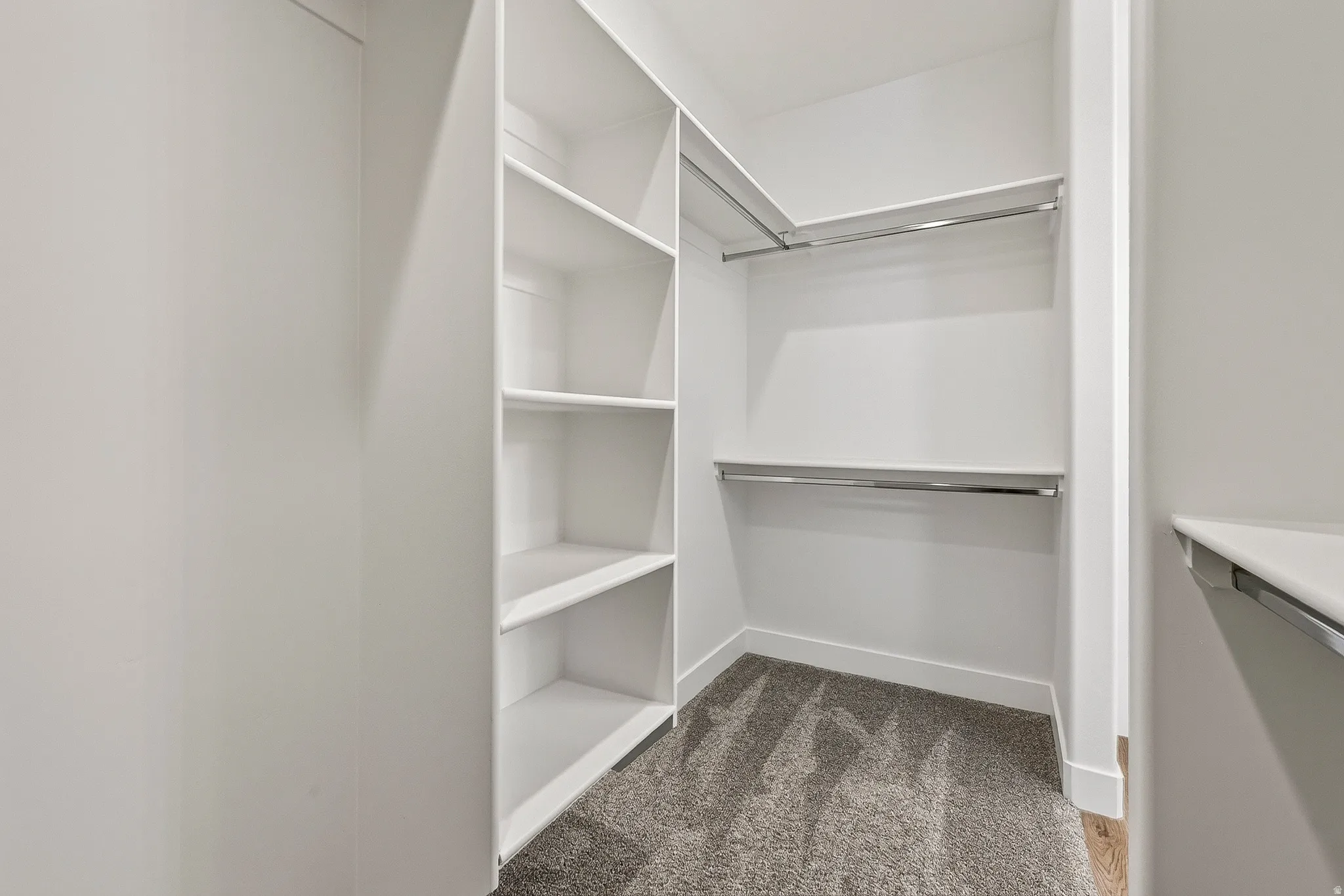 Walk-in closet featuring built-in shelving, chrome hanging rods, and grey carpeting