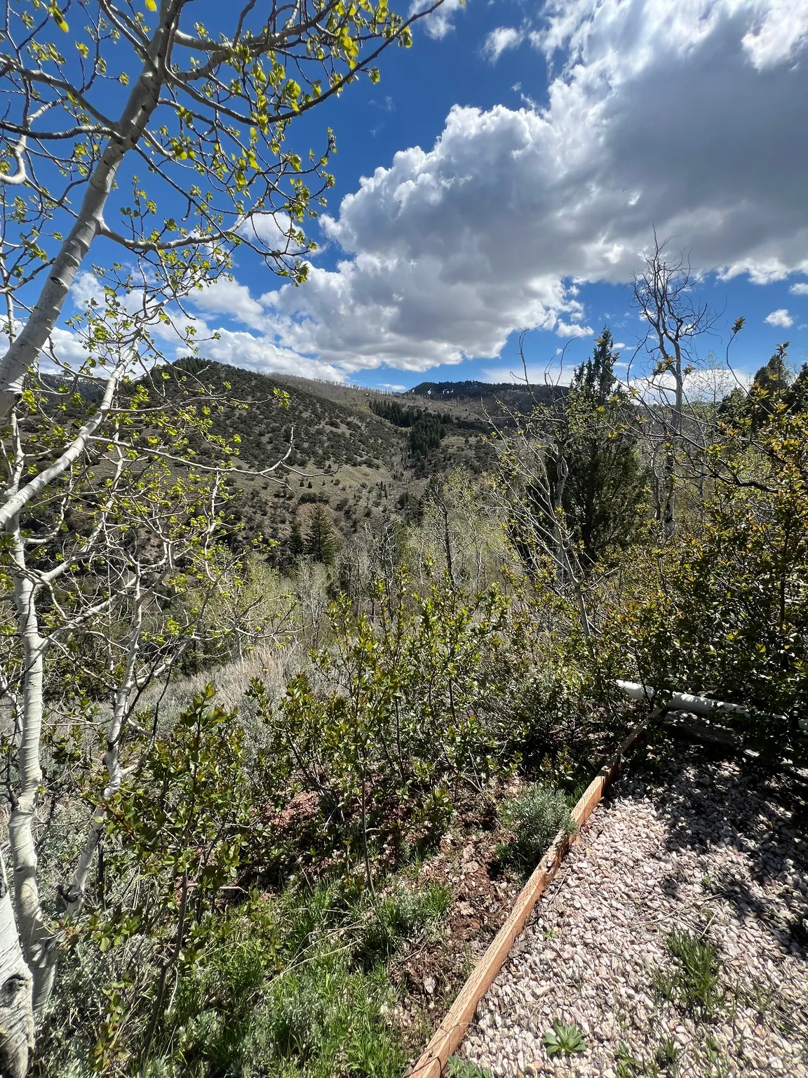 Mountain view to the South East canyon