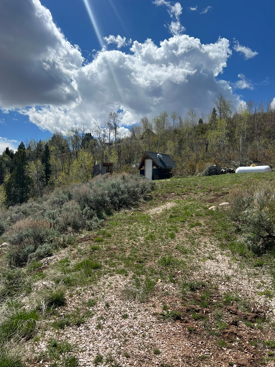 View of yard to the South West, generator shed and propane tank.