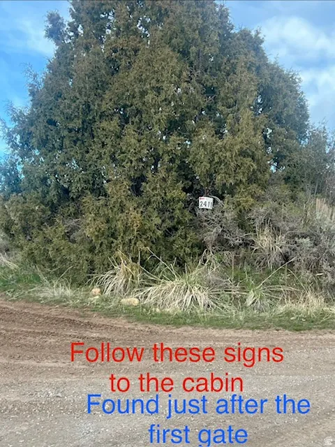 Same sign showing the tree it is in front of
