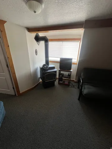 Bedroom #1 featuring a textured ceiling, carpet flooring, and a wood stove