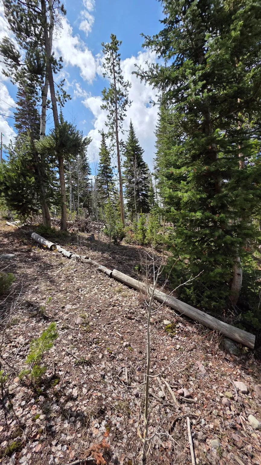 View of undeveloped land