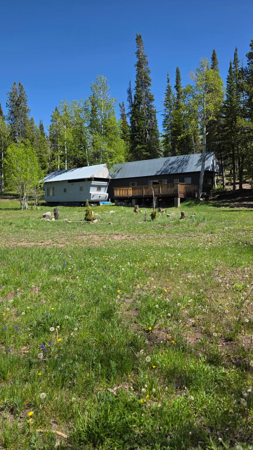 Two structures with metal roofs surrounded by mature trees, set on an expansive grassy area