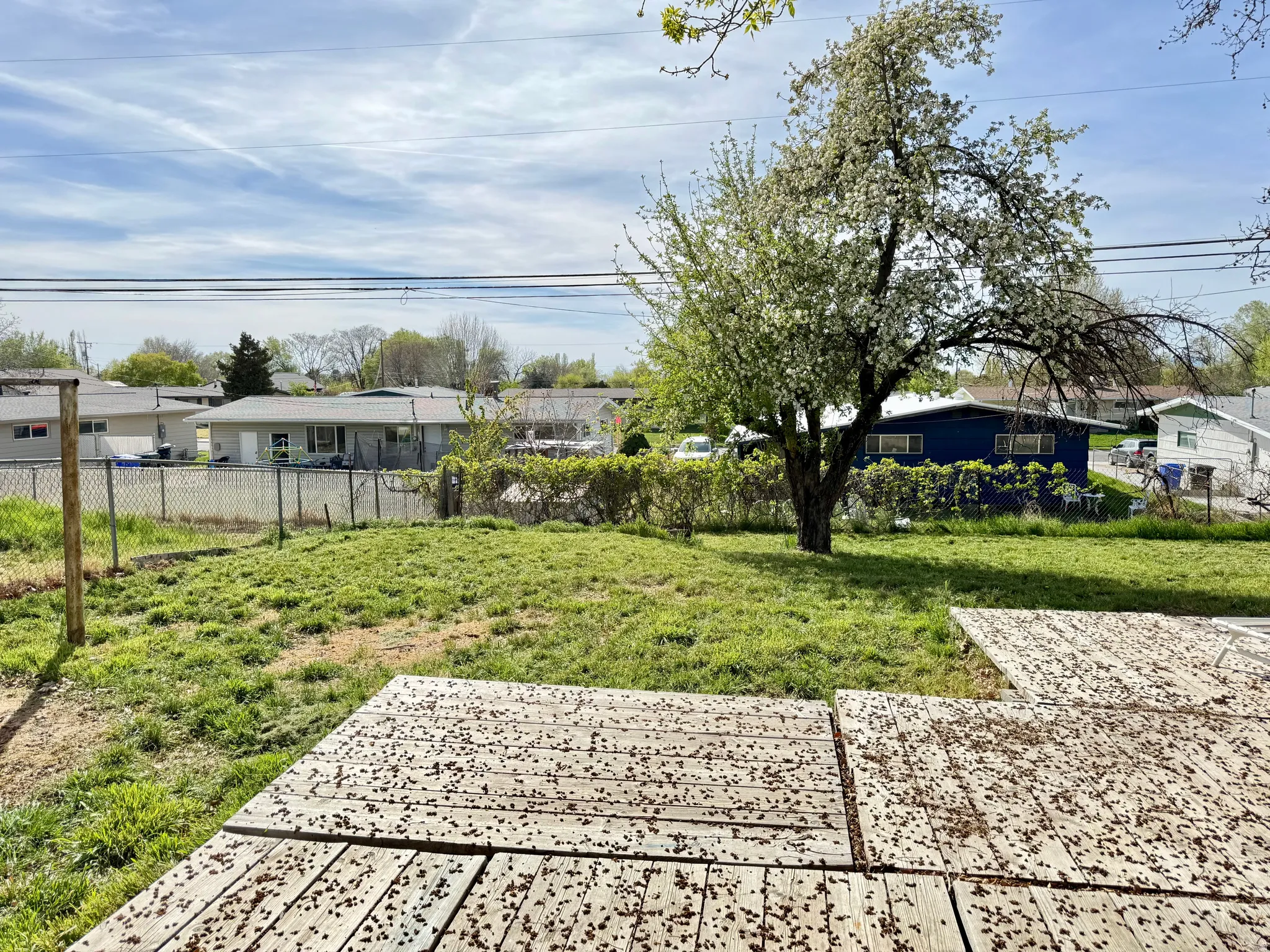 View of yard featuring a residential view