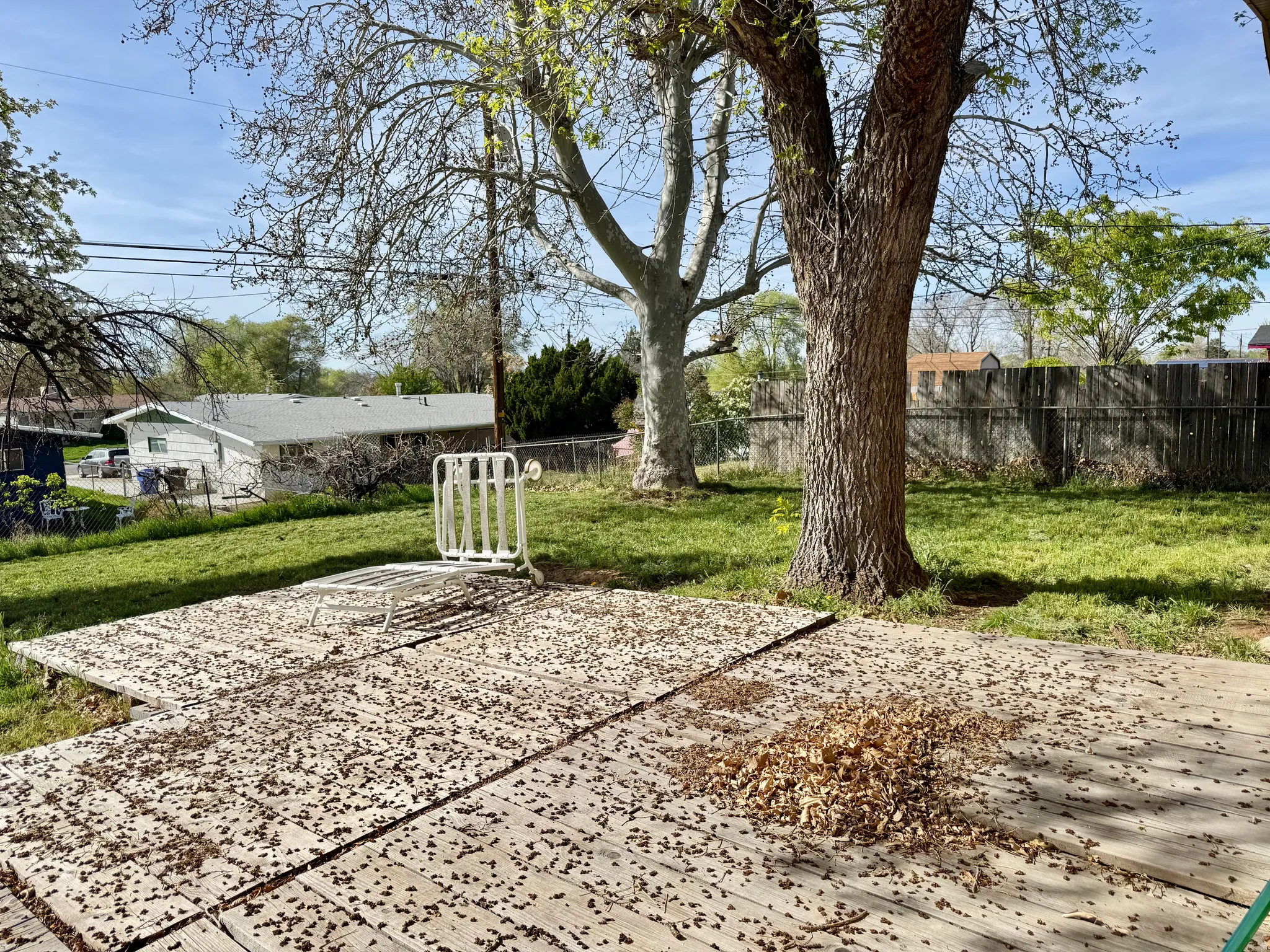 View of fenced backyard