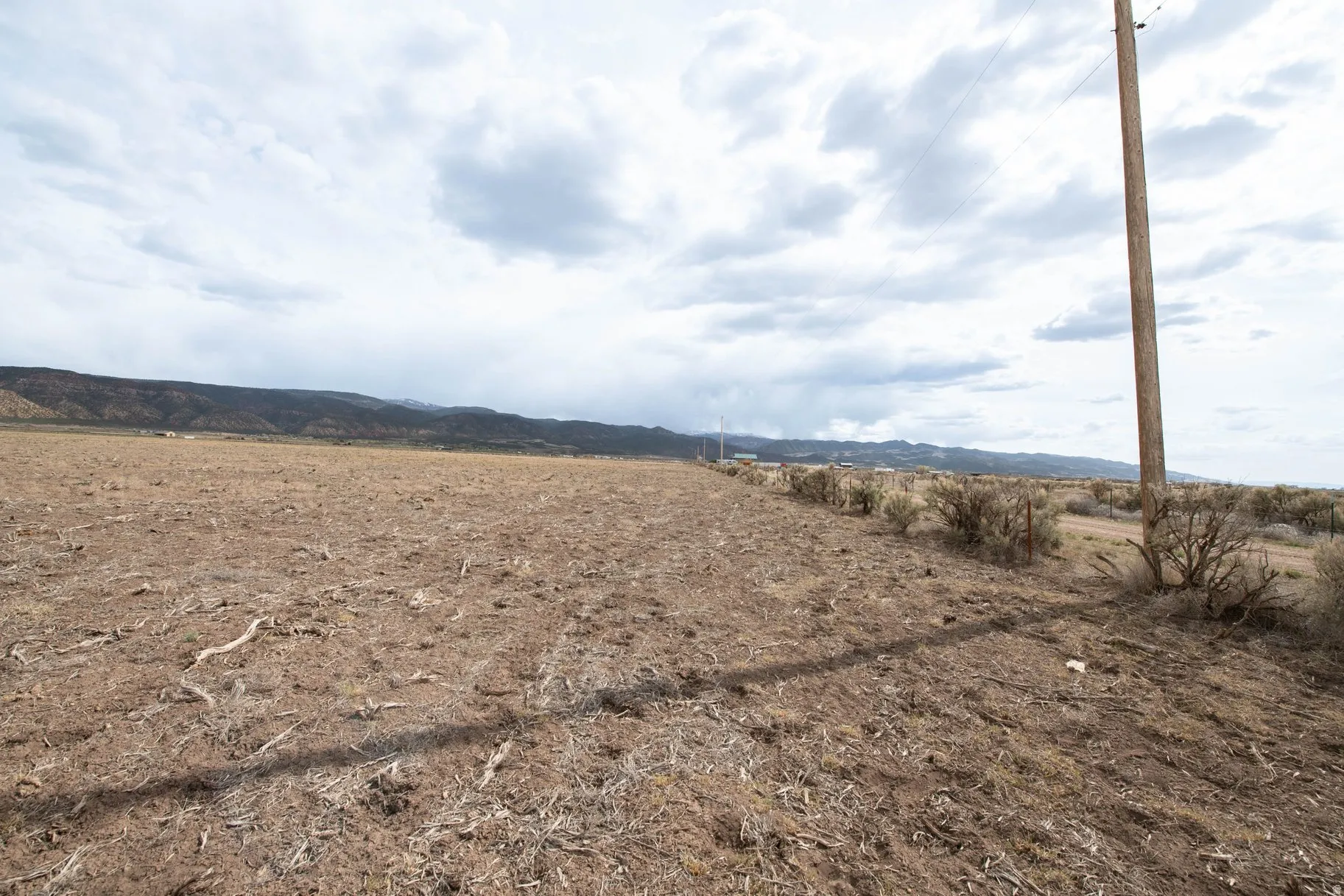 View of local wilderness with rural landscape and a mountainous background