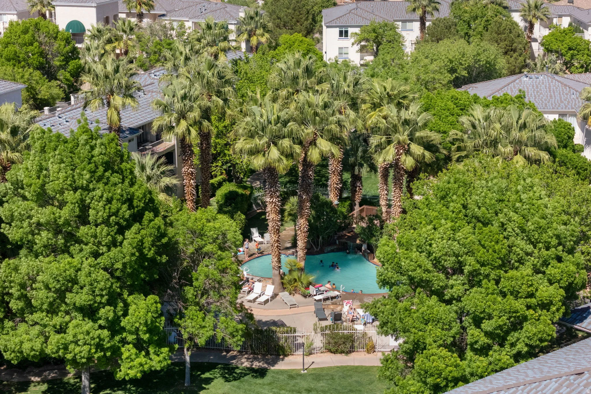 Bird's eye view of a pool and a tree filled landscape
